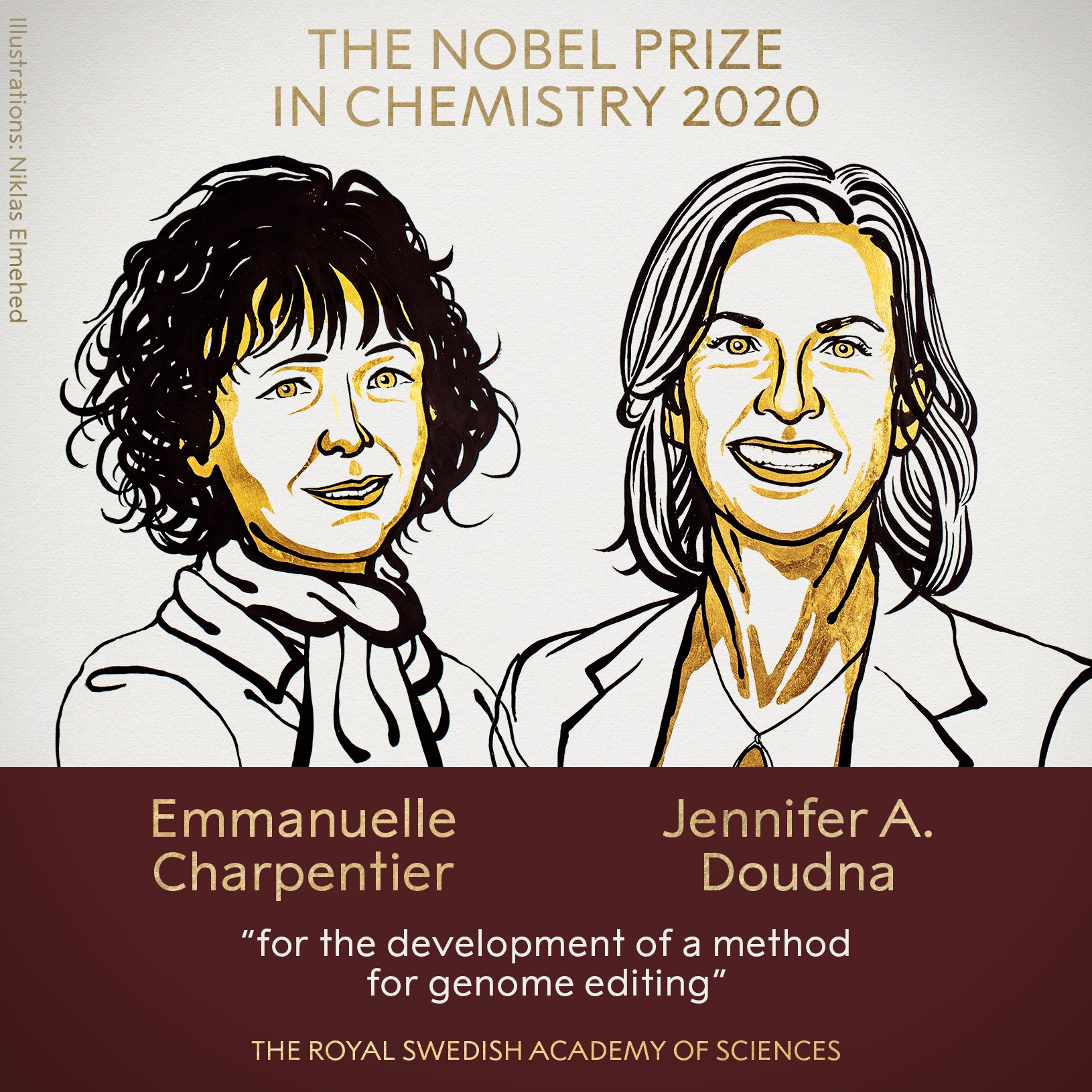 CRISPR Developers Win the Nobel Prize in Chemistry – View from Arch Street